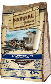 Salmon Recipe