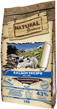 salmon-mini-recipe
